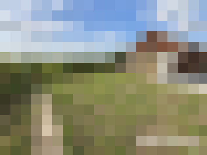  / #14