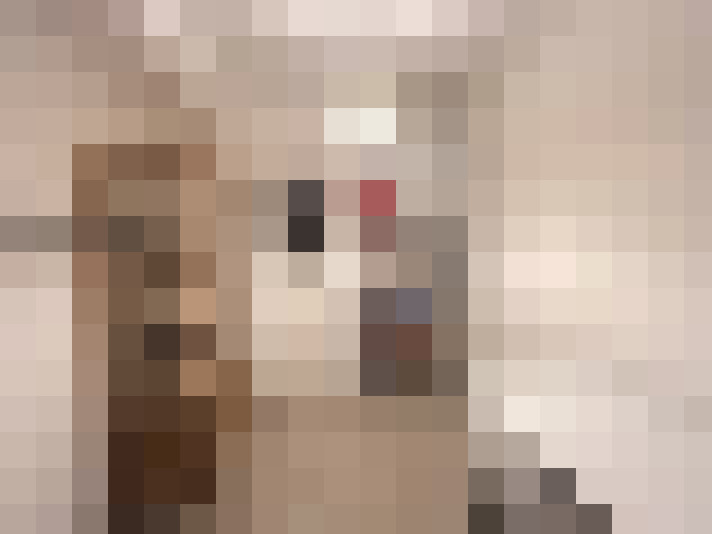  / #14