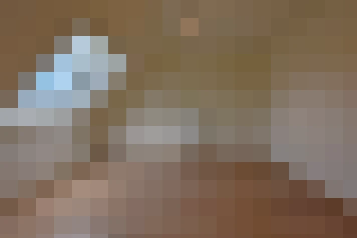  / #14