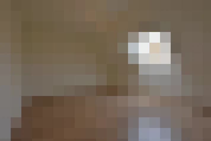  / #12