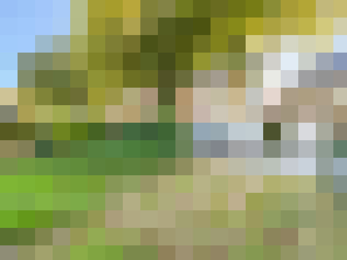  / #20