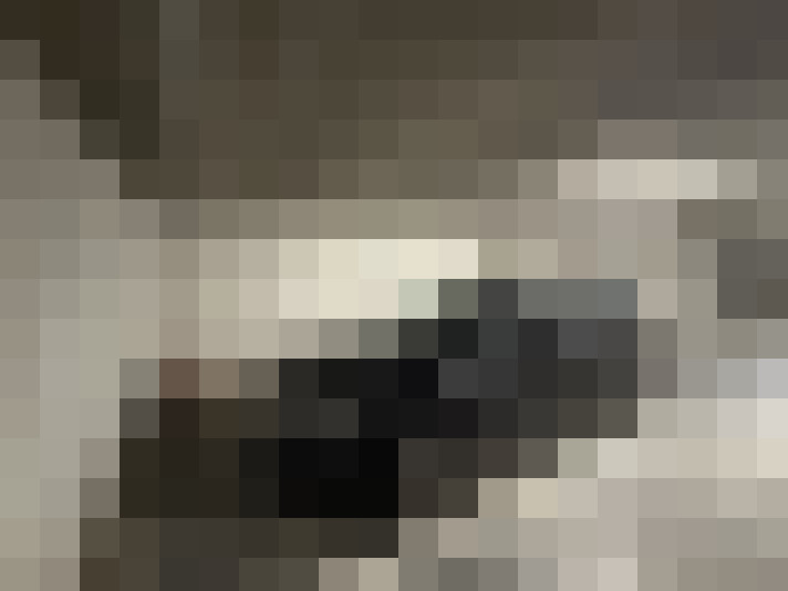  / #24