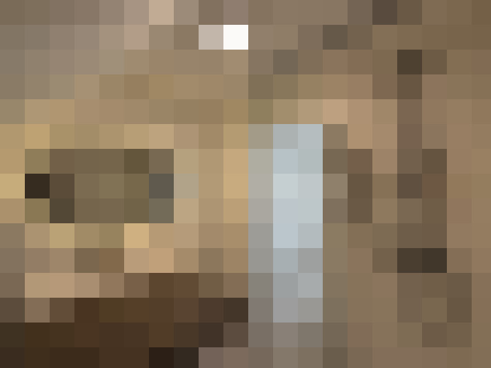  / #19