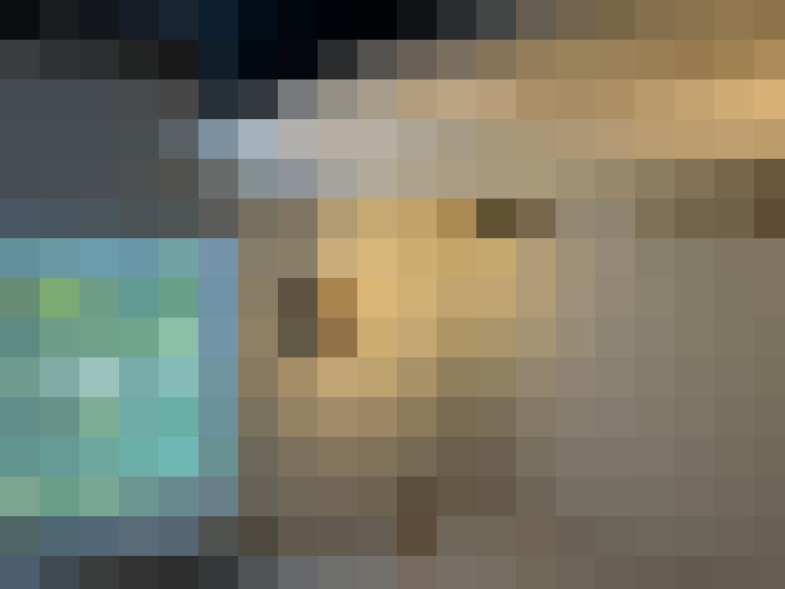 / #8