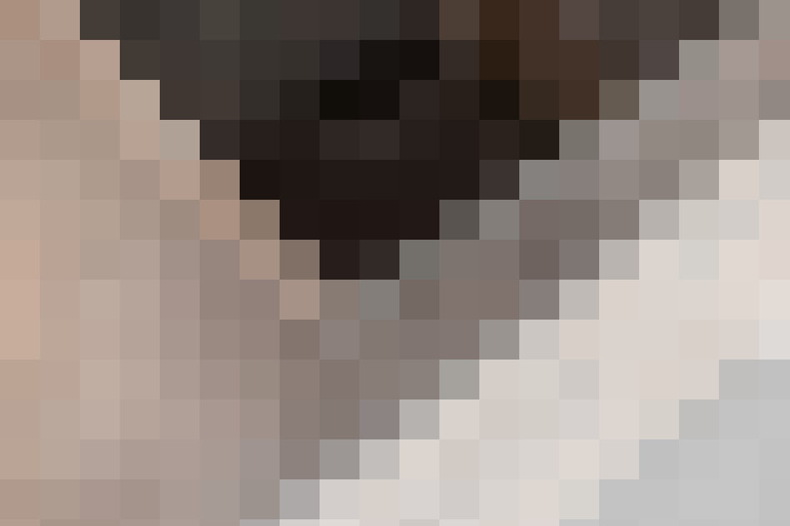  / #12