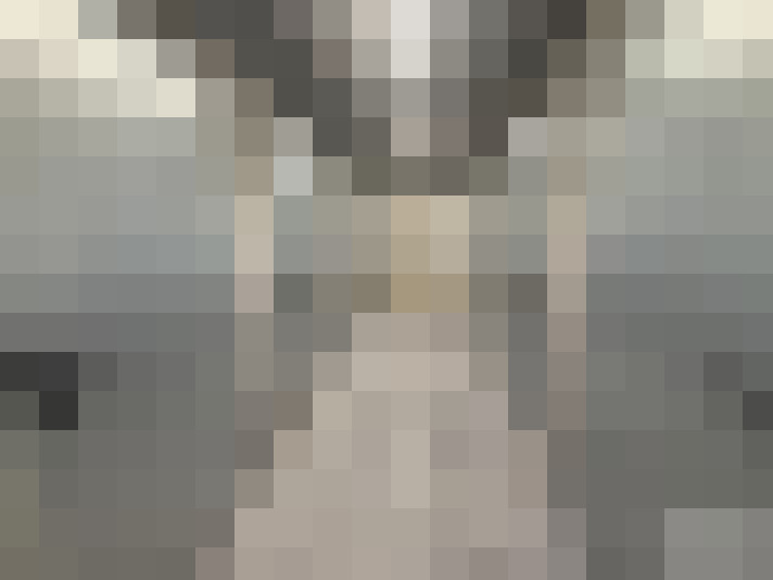 / #15