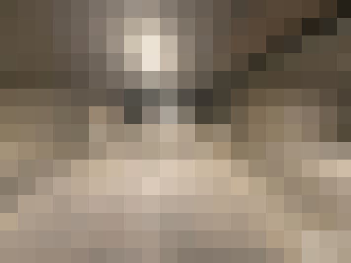  / #17