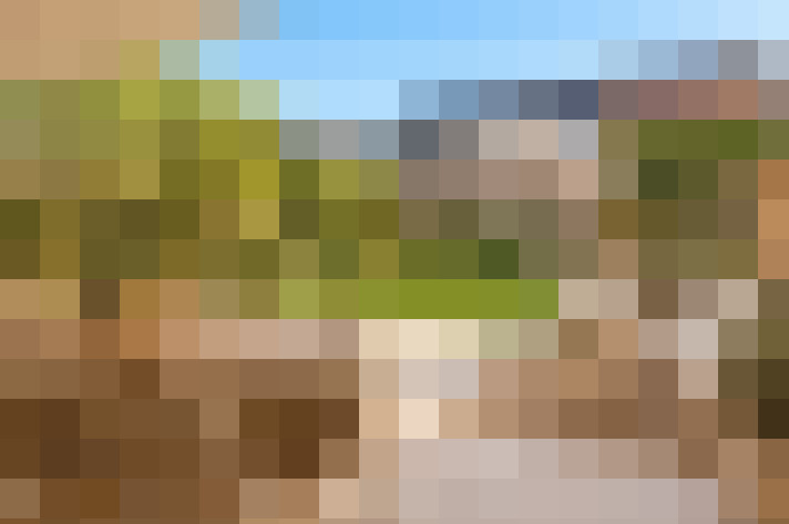  / #18