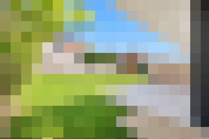  / #20