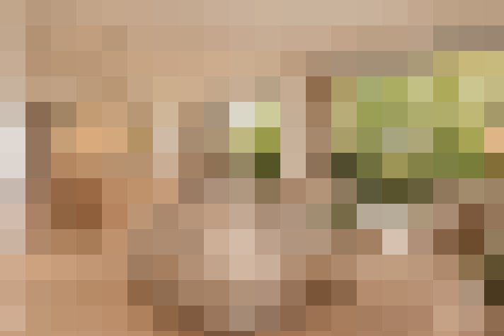  / #23