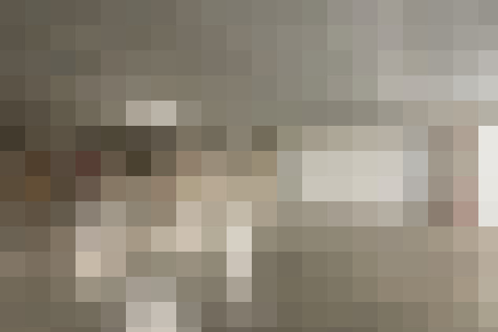  / #23