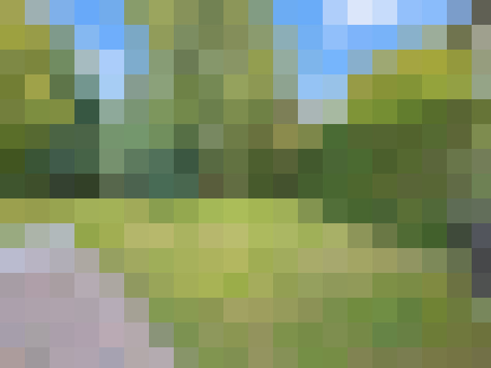  / #13