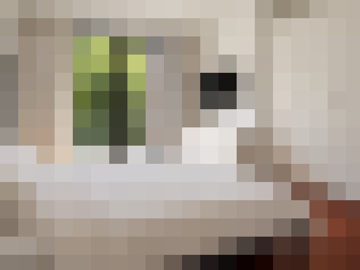  / #14