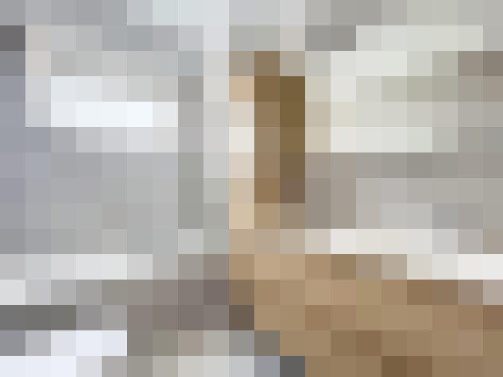  / #11