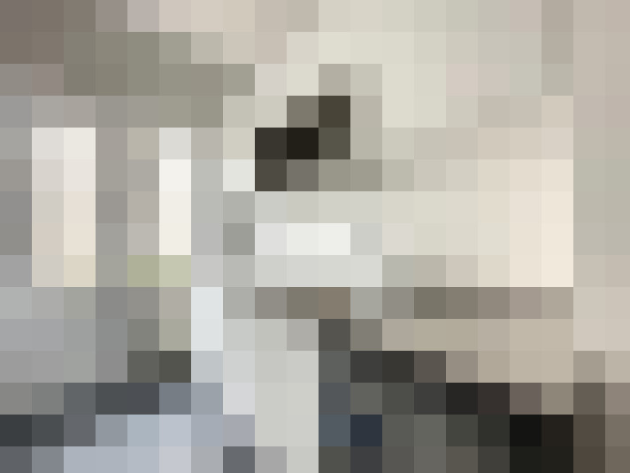  / #8