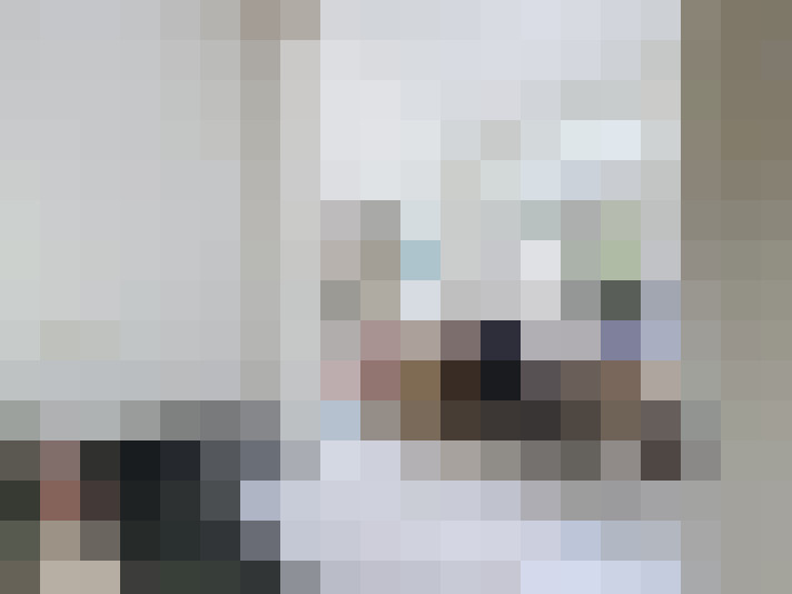  / #16