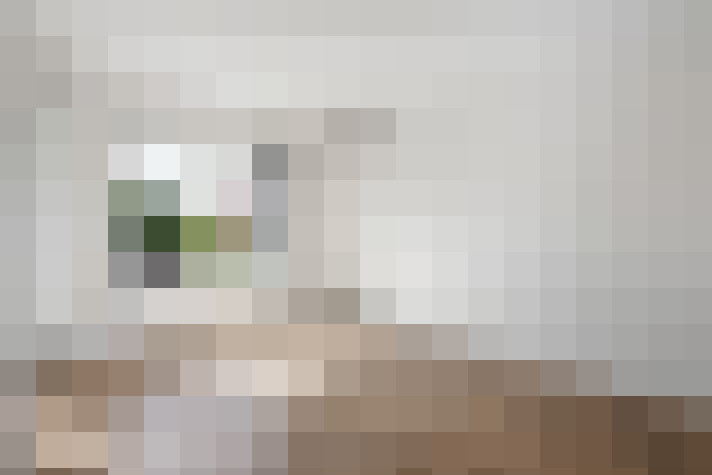  / #19