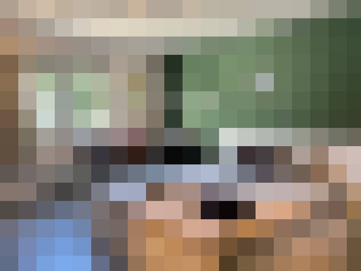  / #19