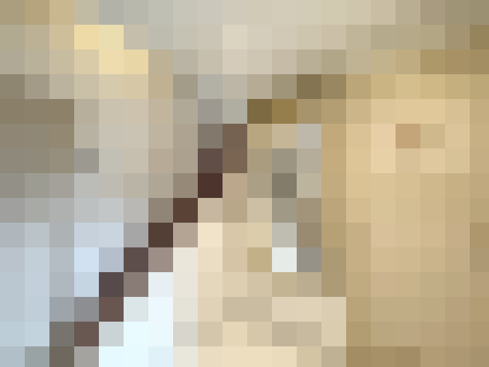  / #15