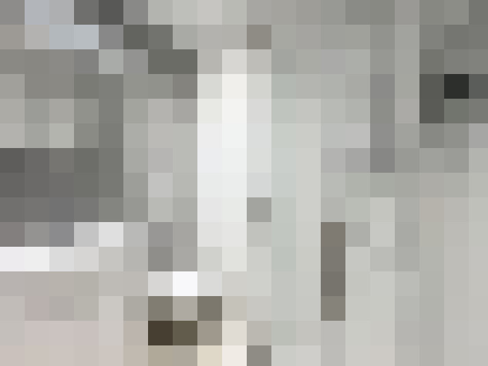  / #18