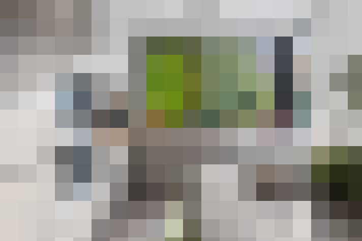  / #19