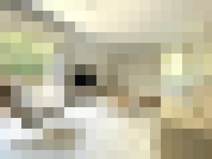  / #8
