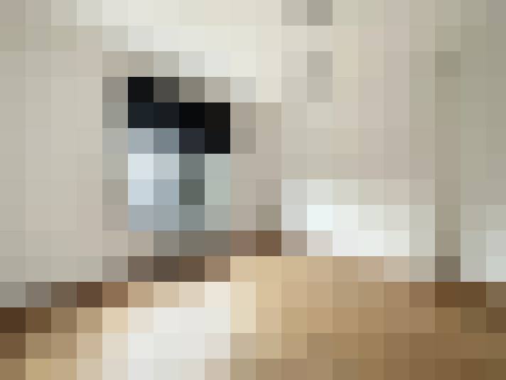  / #18