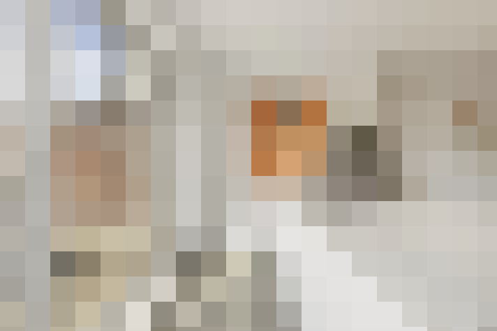  / #8
