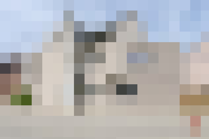  / #16