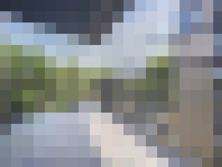  / #14