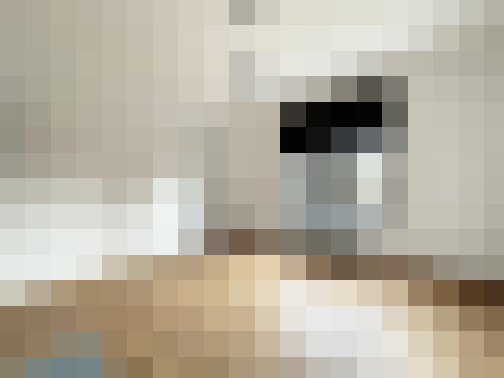  / #17