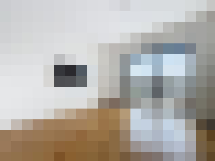 / #14
