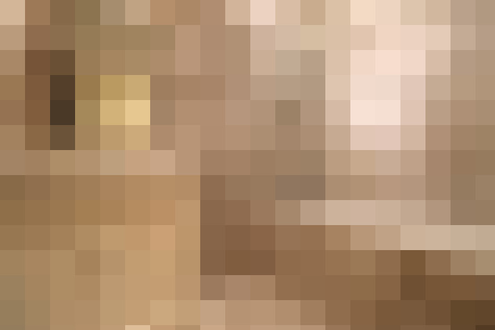  / #24