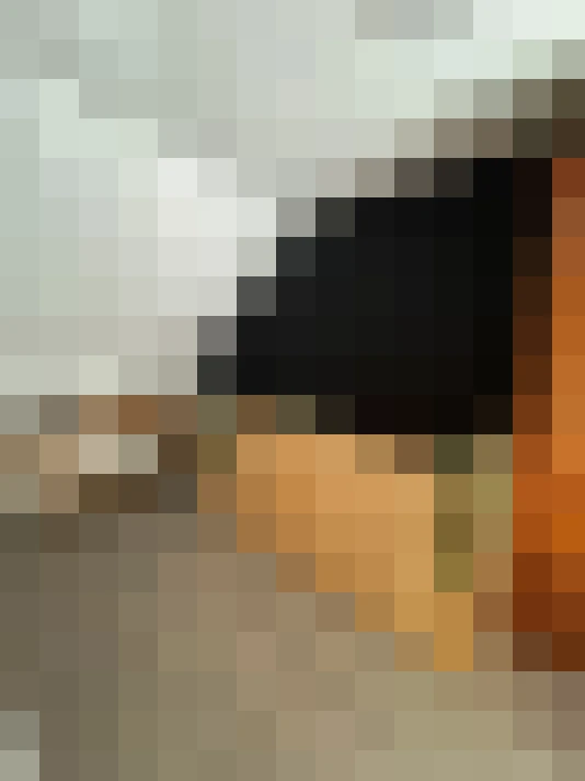  / #14