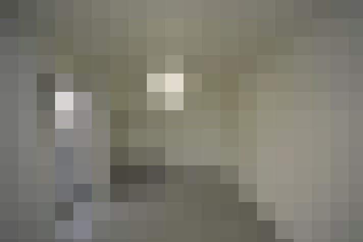  / #16