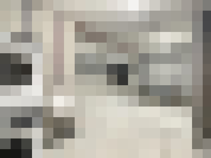  / #15