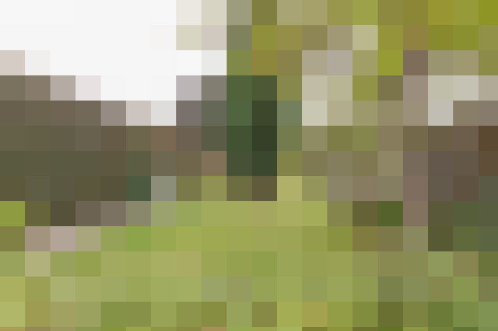  / #13