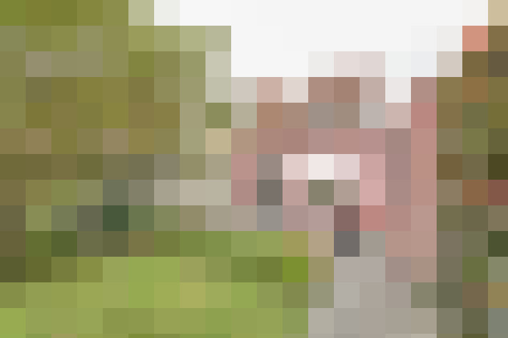  / #12