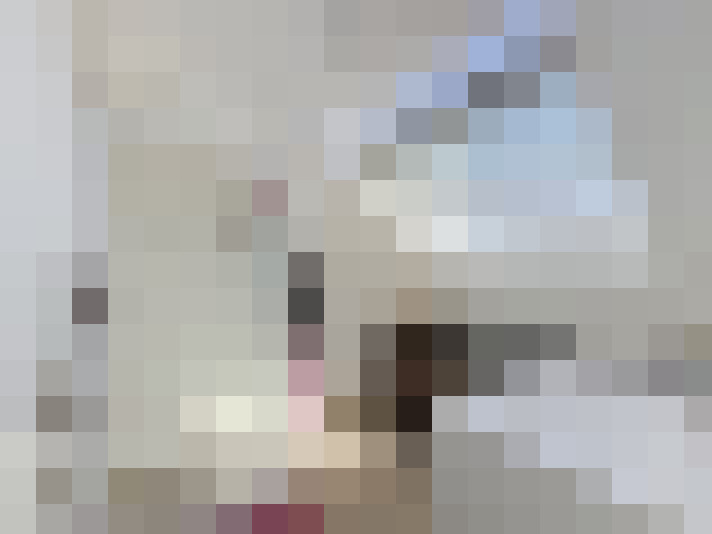  / #13