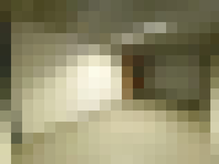  / #19