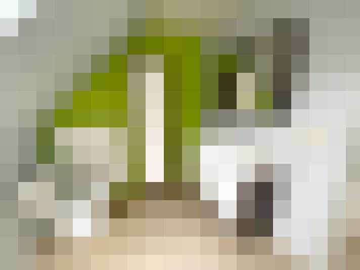  / #10