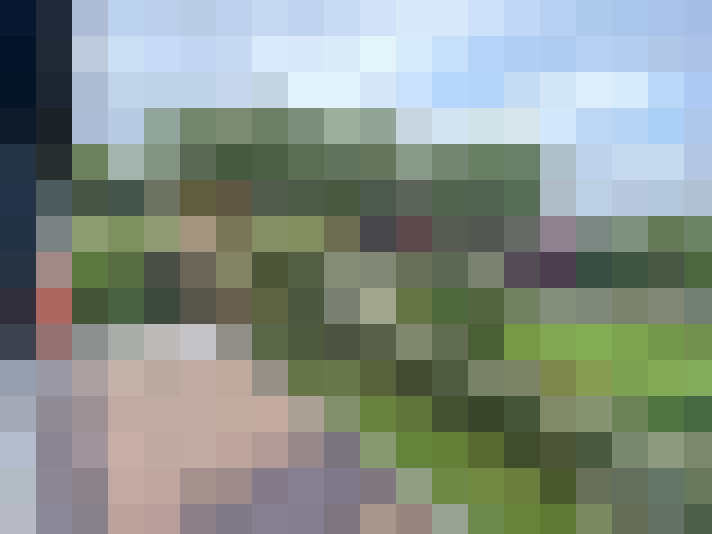  / #15