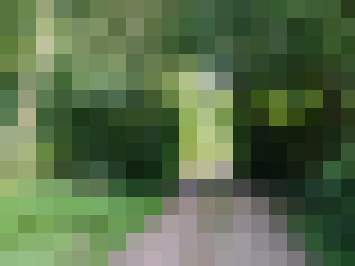  / #19
