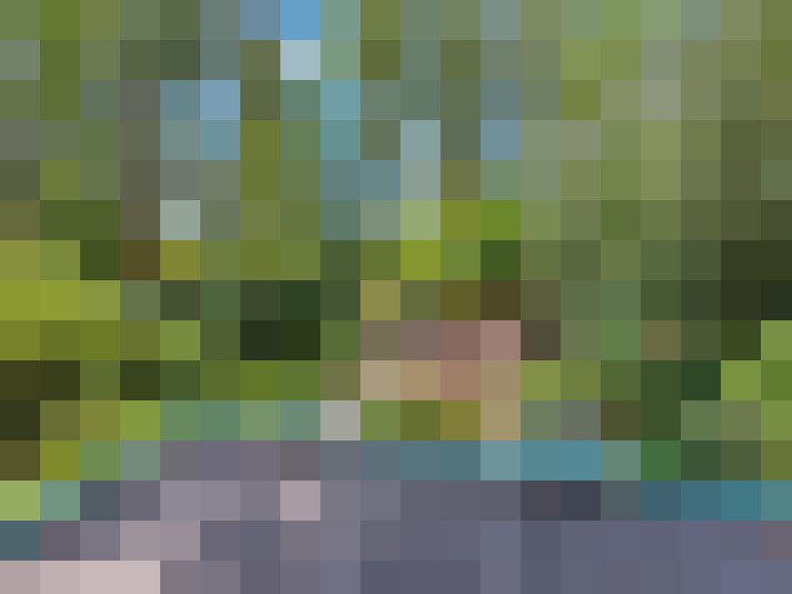  / #17