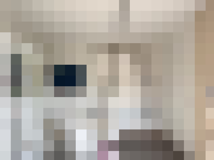  / #18