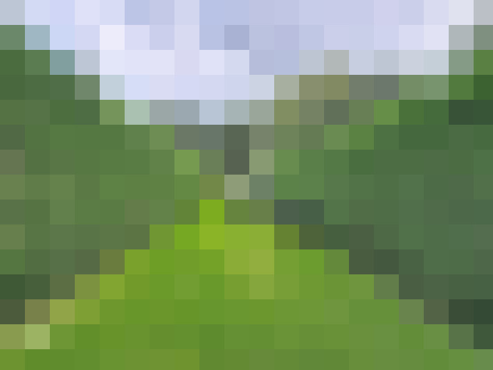  / #19