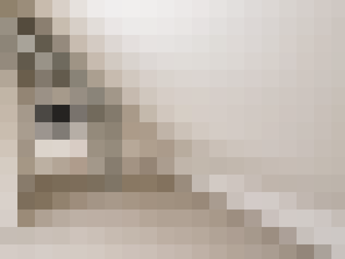  / #22