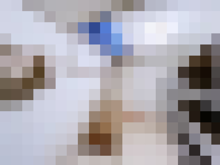  / #20