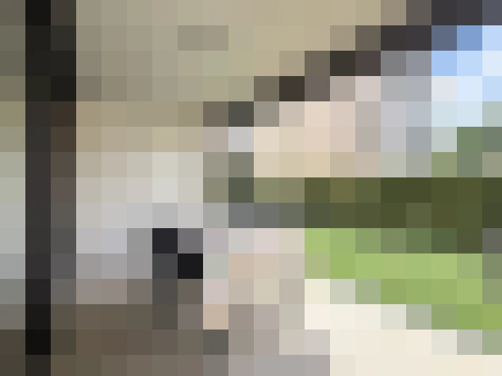  / #16