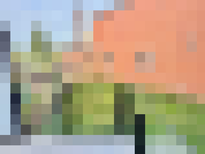  / #14